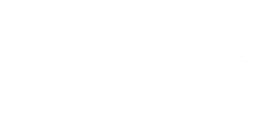 Logo Petrobras